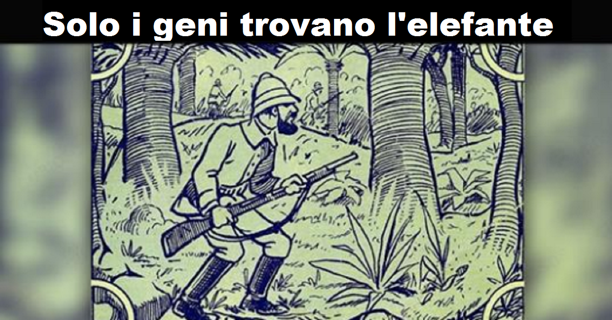 Solo i geni trovano l’elefante