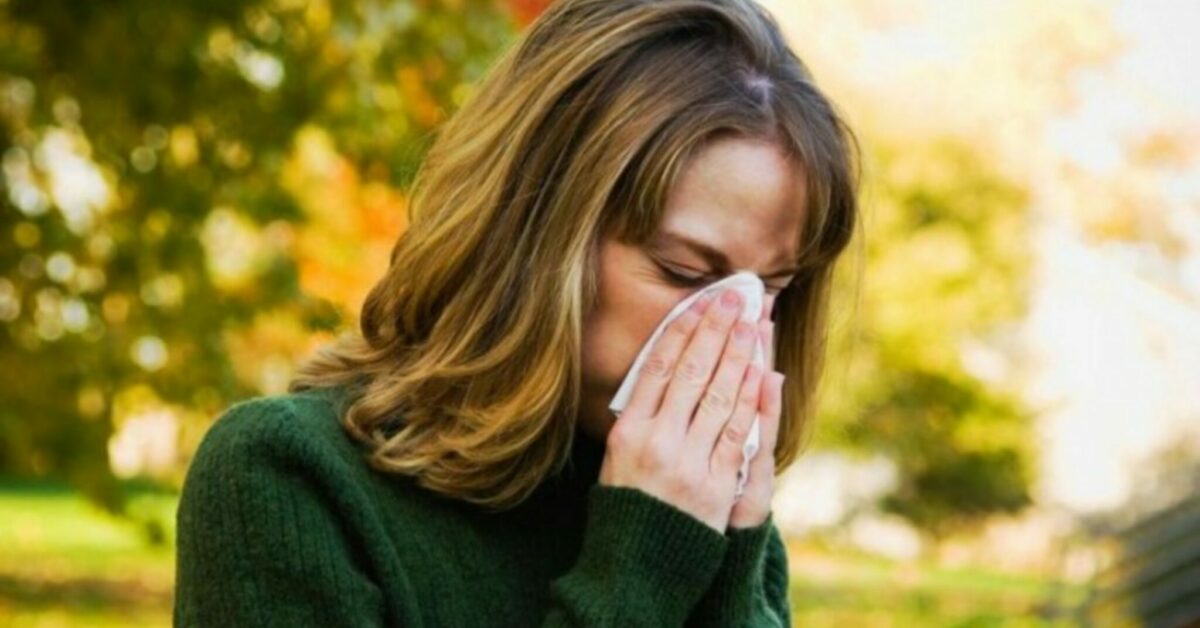 Acari della polvere e allergia, cose da sapere