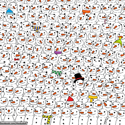 Trovate-il-panda