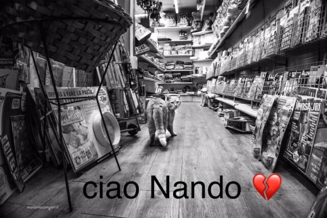 ciao-nando