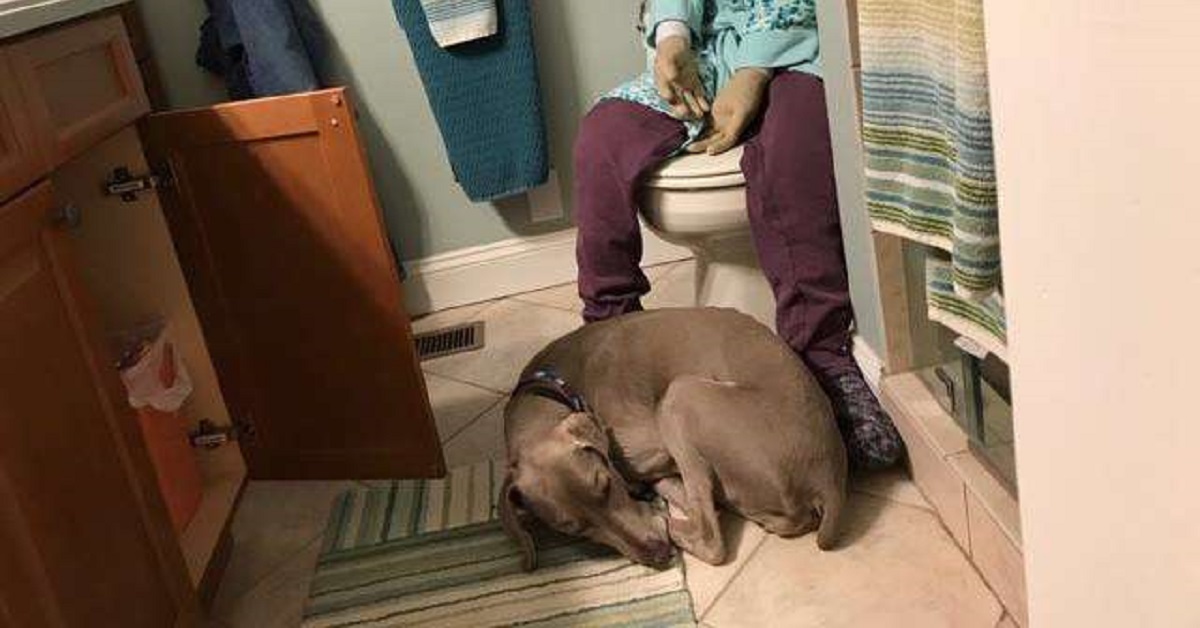 Donna crea un manichino di se stessa per il cane