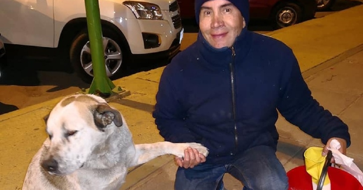 Fernando Kushner, l’uomo boliviano che salva i randagi