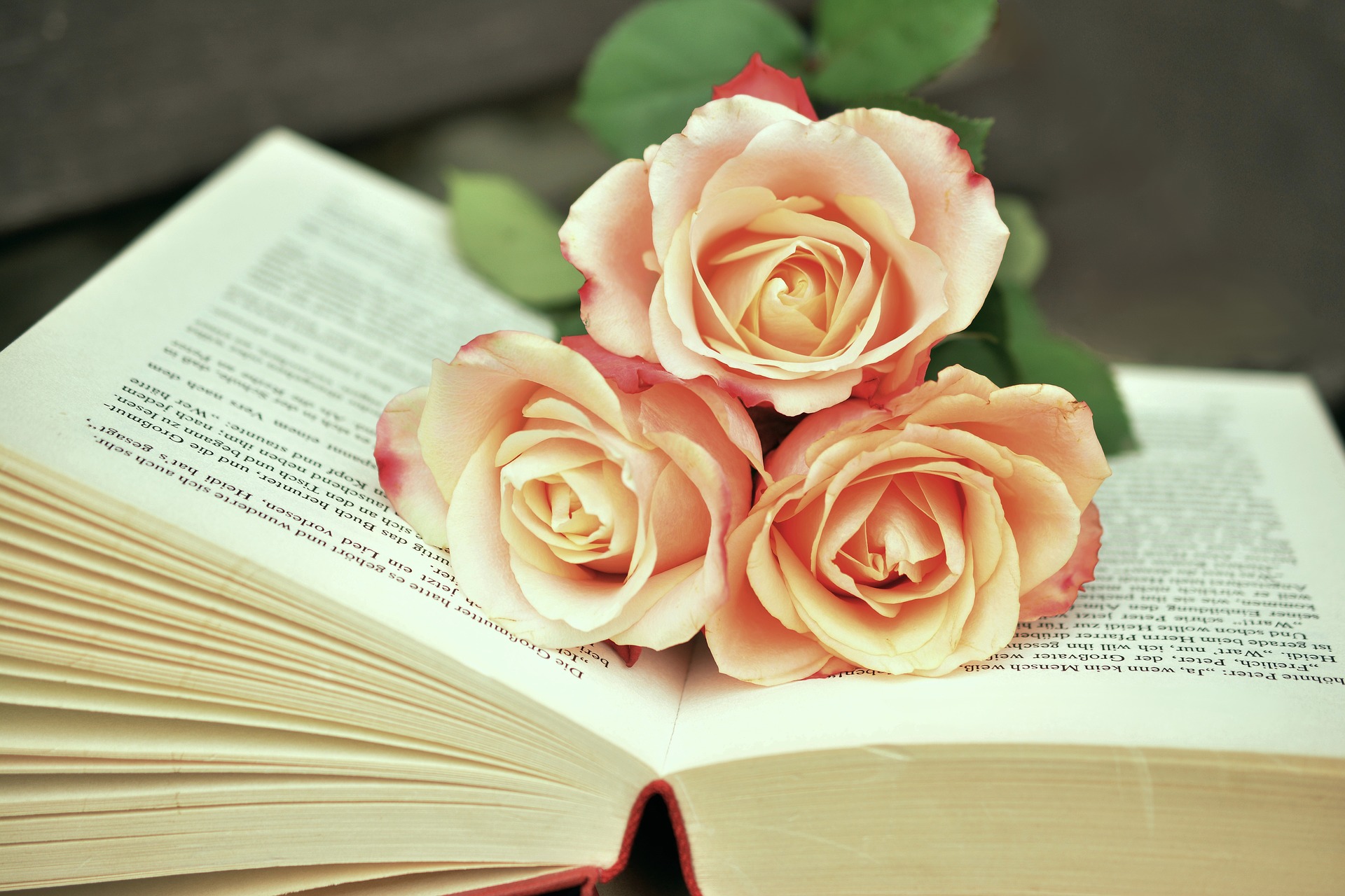 Quali sono i libri fantasy più belli?
