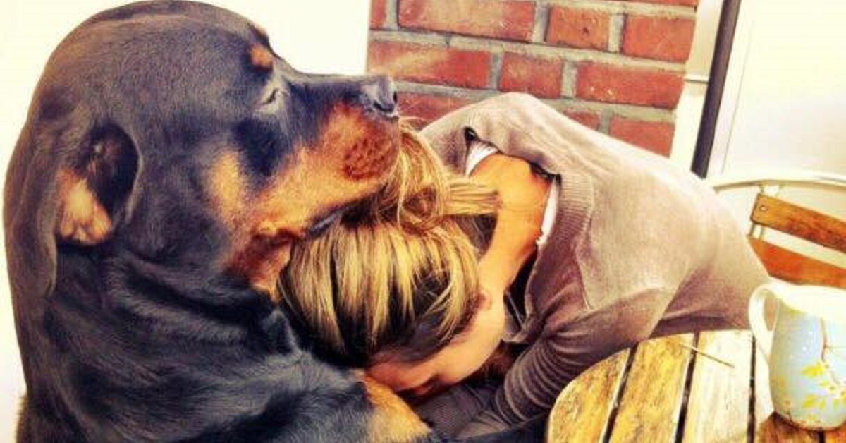 Il mio cane non è mio figlio ma io sono sua madre