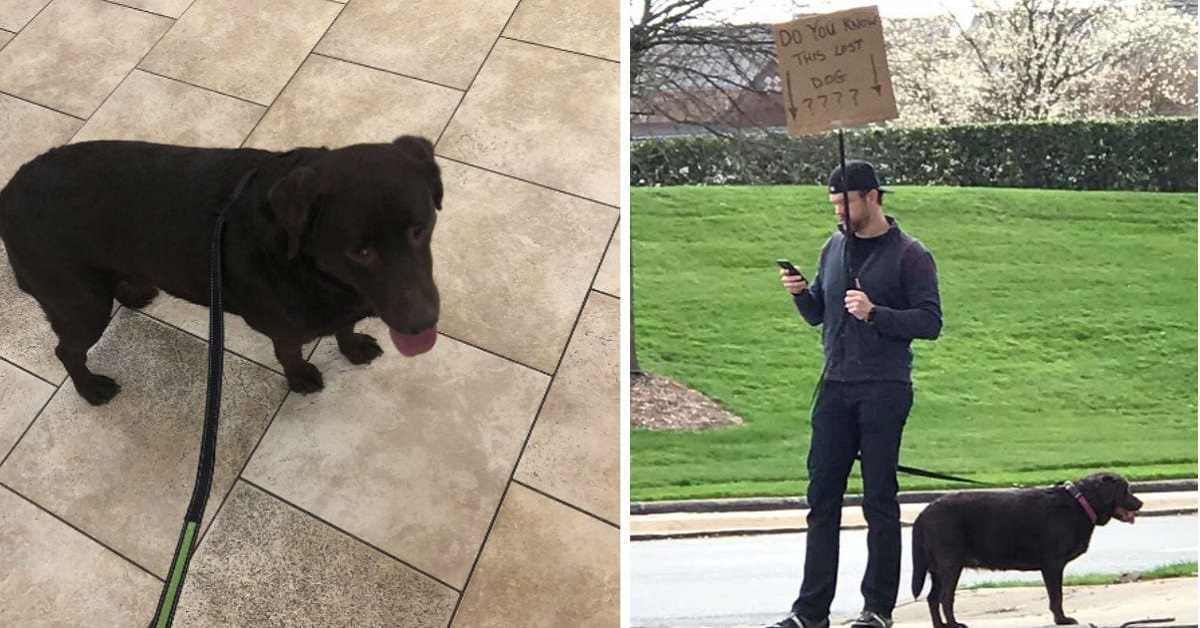 Jason Gasparik trova il proprietario di un cane con un cartello