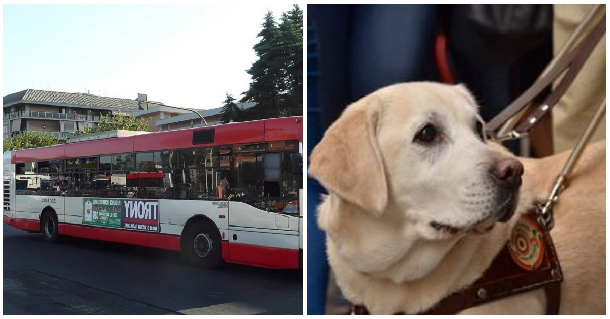 Linea Giaveno-Torino: ipovedente invitata a scendere con il cane