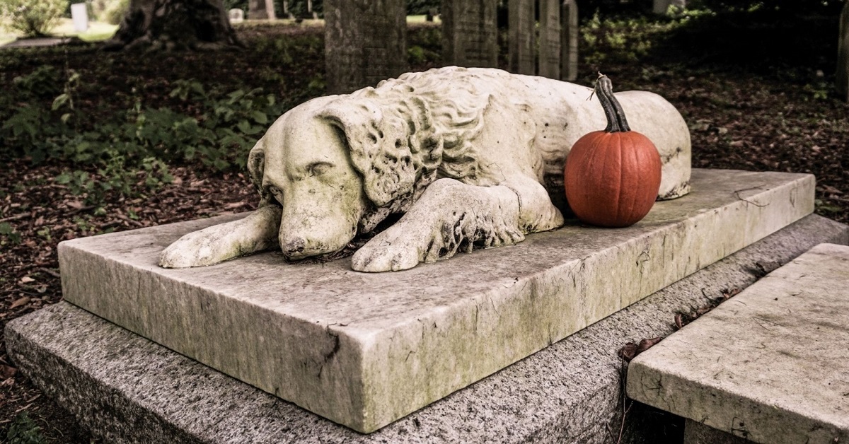Lombardia: cani e proprietari seppelliti insieme