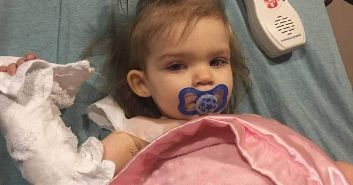 La donazione che non ha ricevuto la piccola Callie