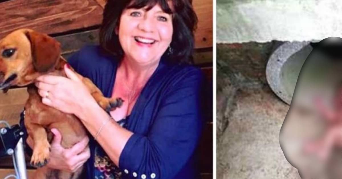 Una donna e il suo cane hanno salvato la vita a un neonato in un tombino