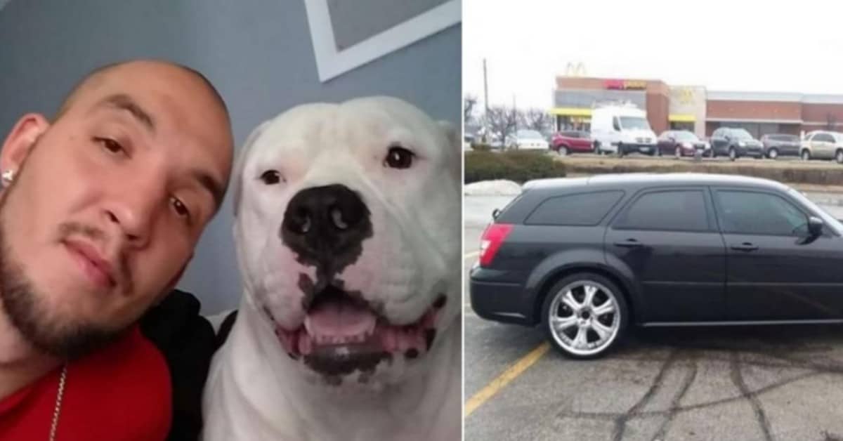 Vende la sua auto, per raccogliere i soldi per salvare il suo cane