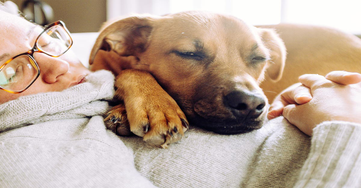 Parola di scienziato: Chi ha un cane vive di più