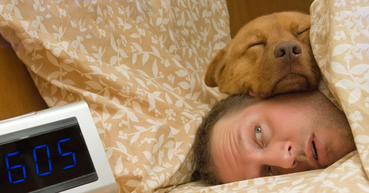 Come dorme il tuo cane? Scoprine il significato!