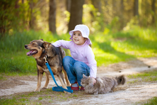 Ecco perchè fa così bene vivere con un cane