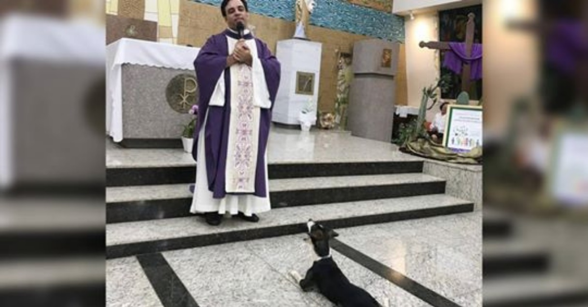 Il cagnolino che assiste alla messa