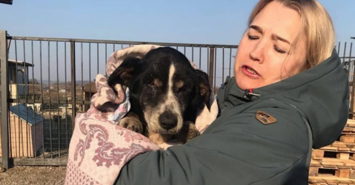 La storia di Dik, il cane resuscitato