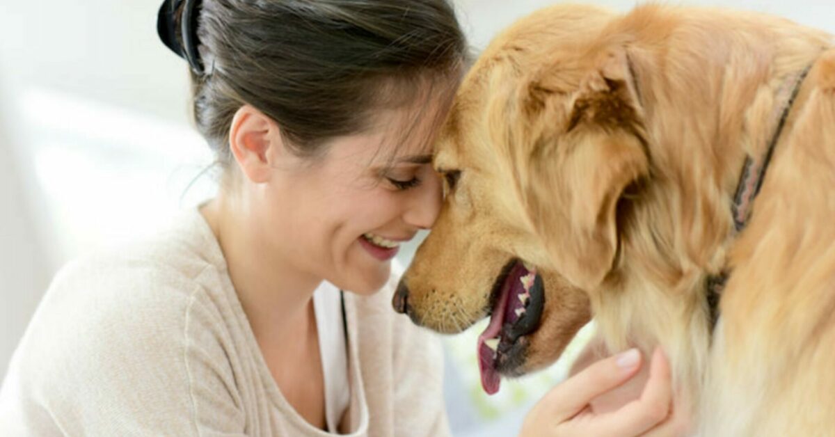 I cani possono davvero capire le nostre emozioni