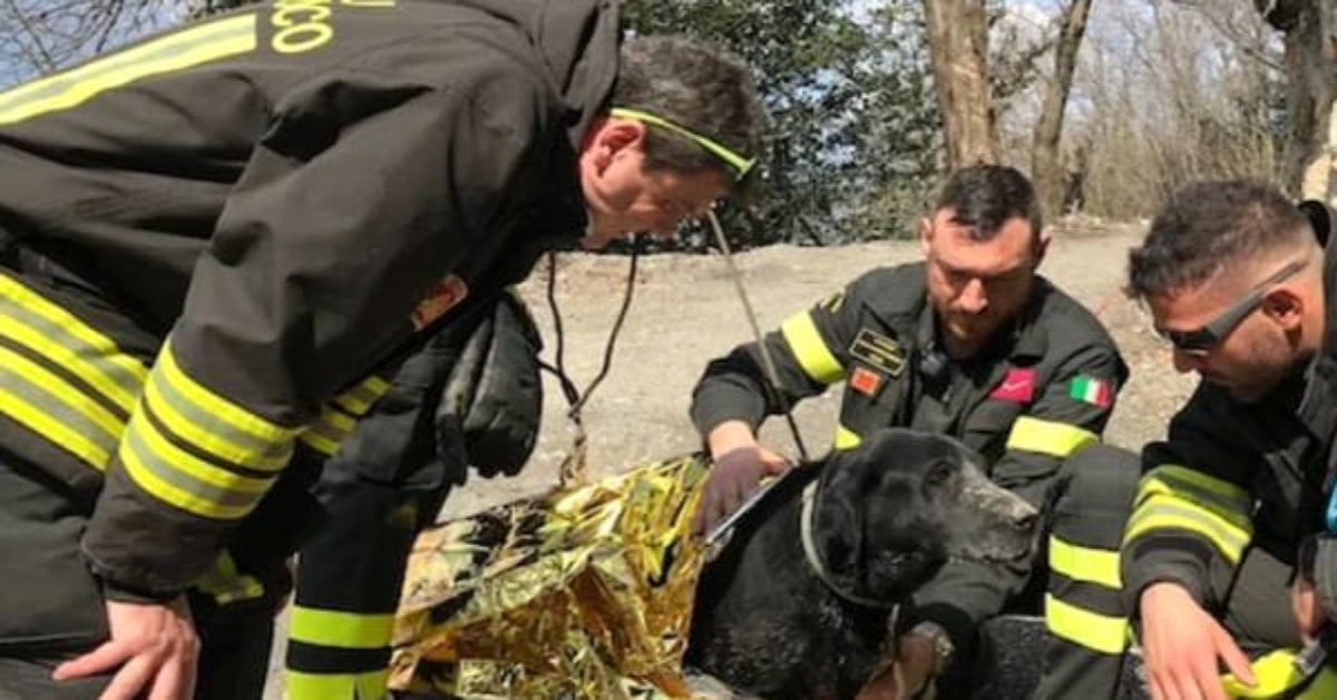 Ritrovato senza vita nelle campagne di Arezzo