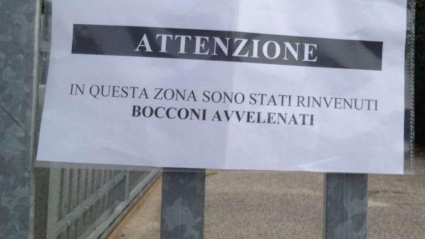 bocconi-avvelenati