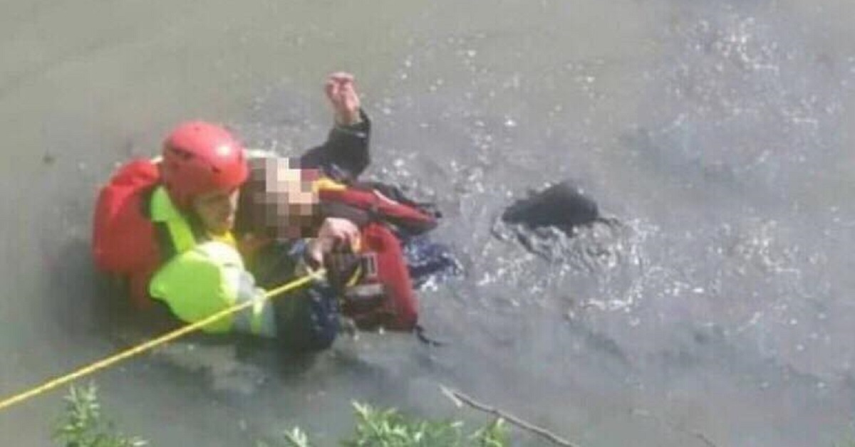 Cagnolina salva una donna a Rubiera