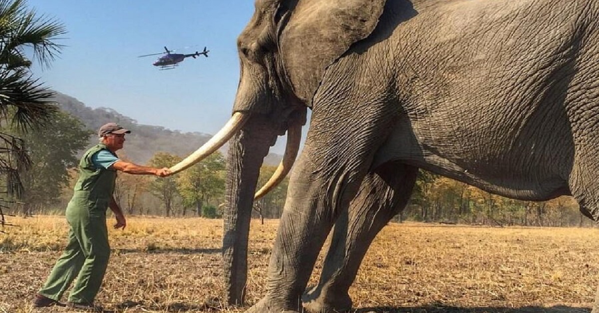 Quello che il principe Harry non ha detto di questa foto scattata in Malawi