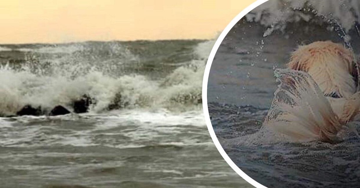 Fiumicino: uomo si getta in mare per salvare il suo cane