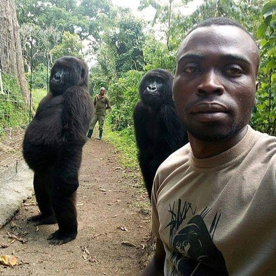 gorilla ranger selfie