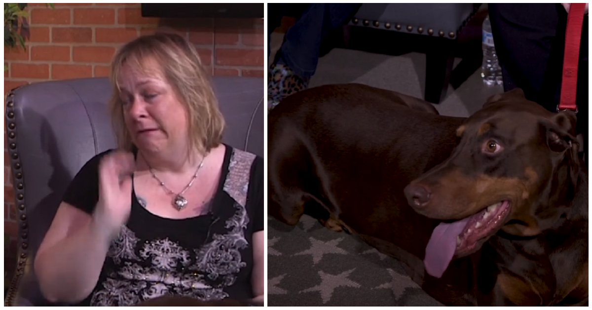 Il veterinario ha speso i suoi soldi per salvare la vita al cane