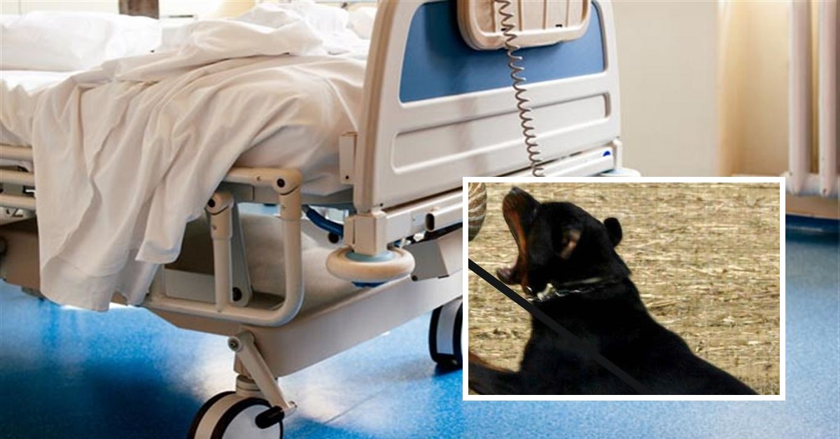 Taranto, non ce l’ha fatta l’anziana azzannata dal rottweiler