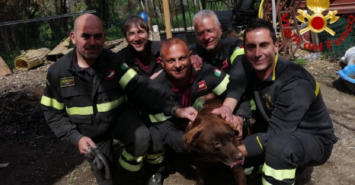 Terni, cane sepolto da una frana salvato dai vigili