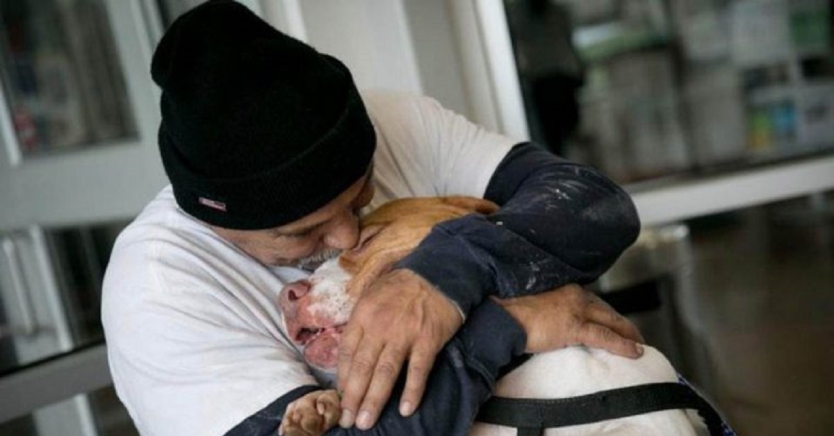 Il cane che emoziona tutti abbracciando il papà umano che lo aveva lasciato solo