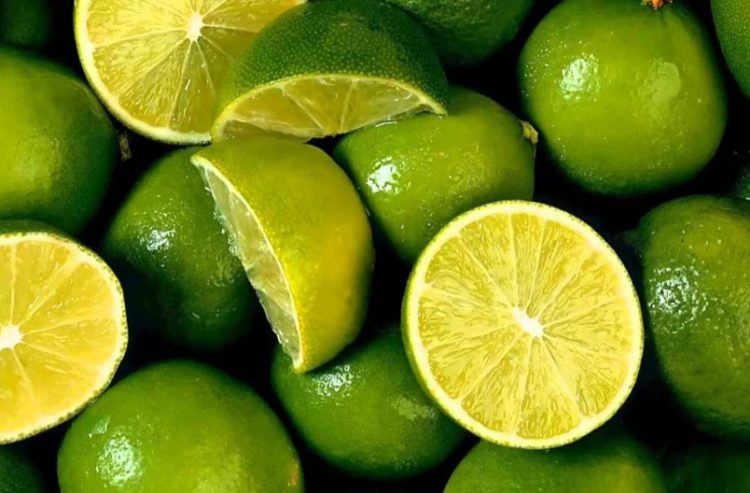 Come piantare i limoni