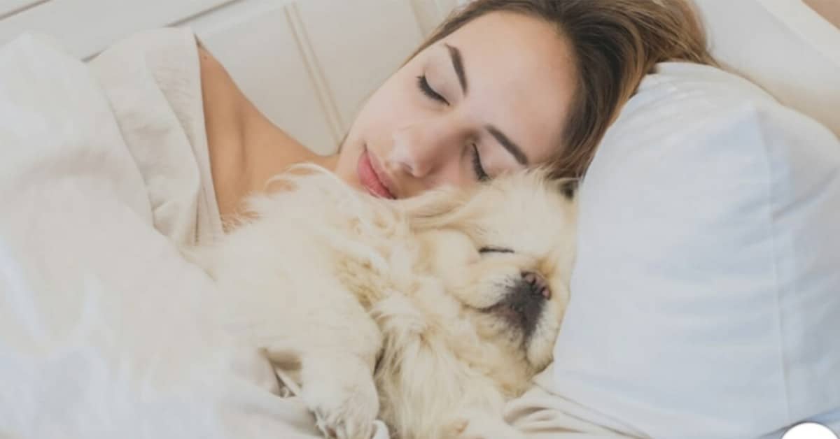 Le donne preferiscono dormire con il loro cane