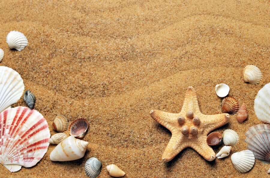 vacanze dell'estate 2019