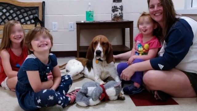 Edgar-il-cane-eroe-insieme-alla-sua-famiglia