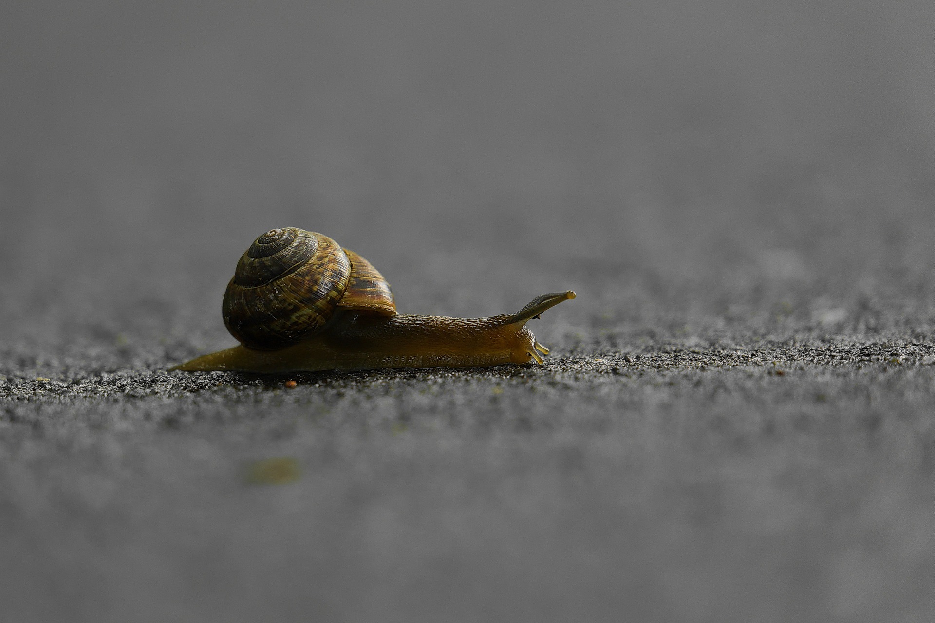 Giornata Mondiale della lentezza, come iniziare in modo slow ogni giorno