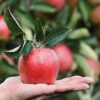 Giornata mondiale della biodiversità 2019