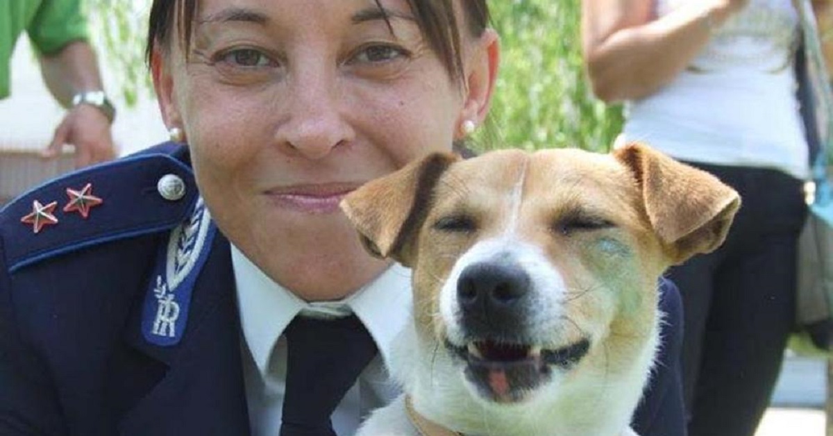 Asti, solo cani abbandonati nella scuola per cani poliziotto