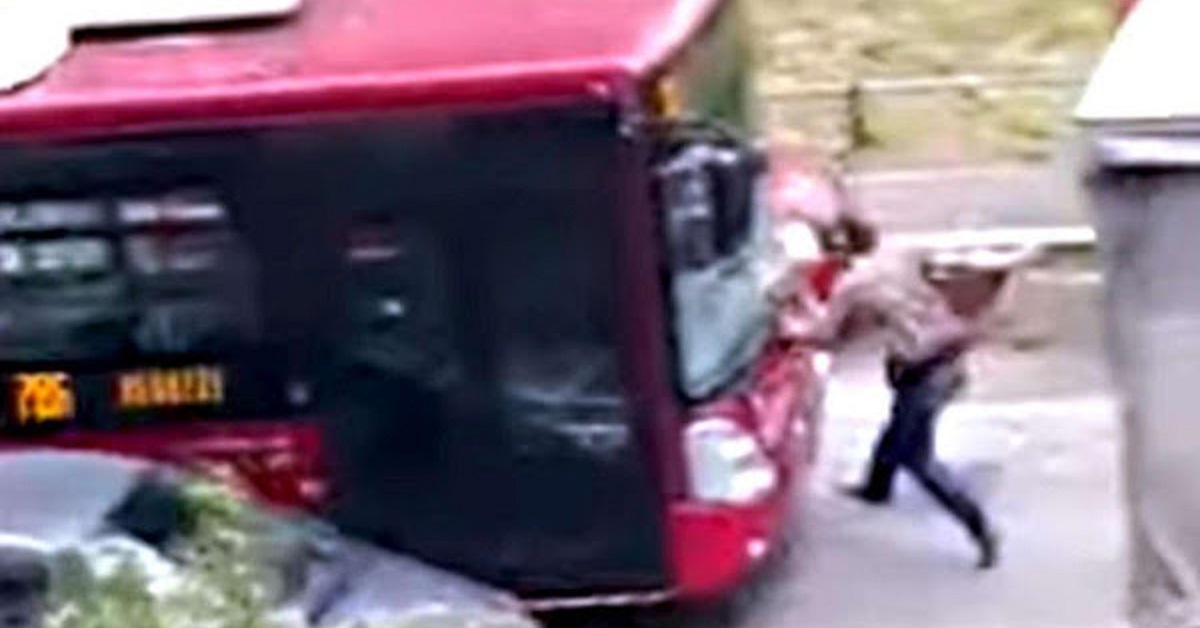 Autista contro passeggero e cani a Roma