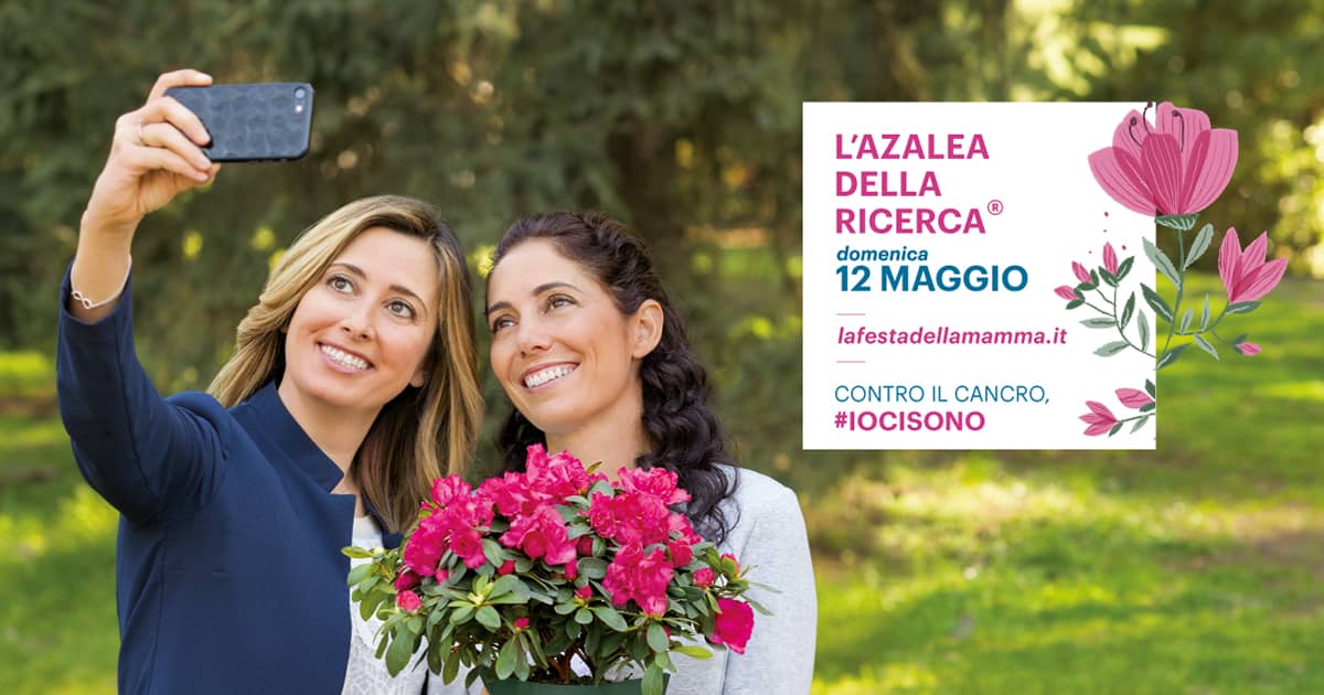 Azalea della ricerca AIRC 2019 nelle piazze italiane