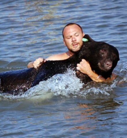 Orso-impaurito-entra-in-acqua 2