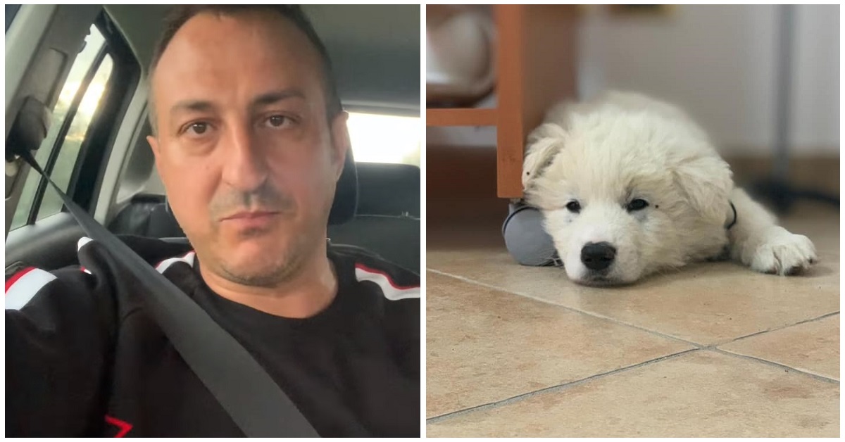 Cane trovato da Mauro Casciari sulla superstrada E45