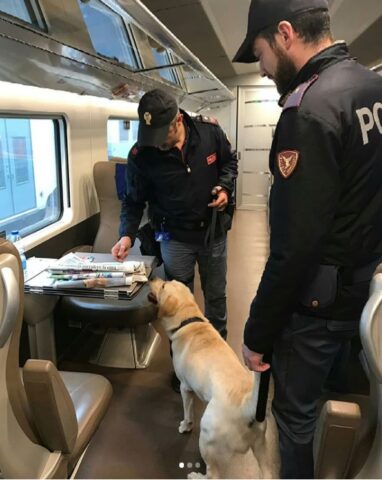 controlli-treno-cane-polizia