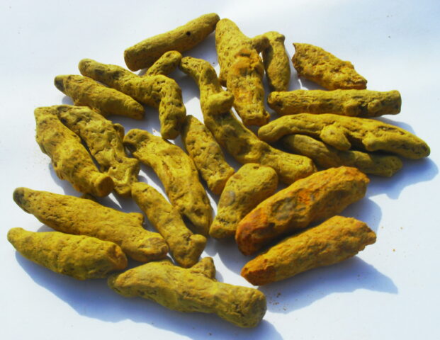 curcuma