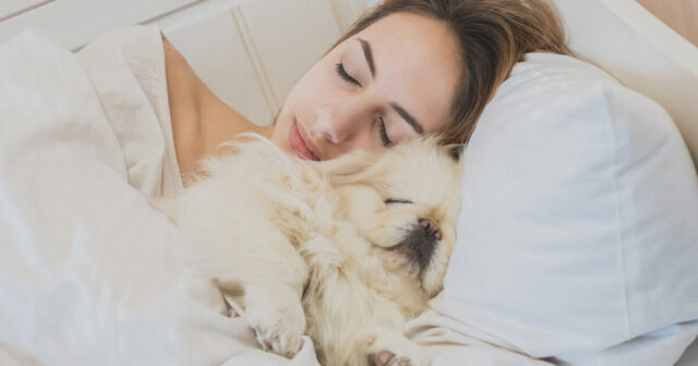 le-donne-preferiscono-dormire-con-il-loro-cane