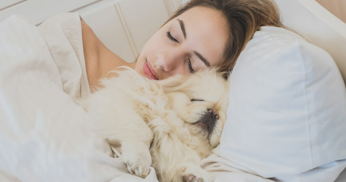 Melatonina: a cosa serve e come aumentarla senza integratori