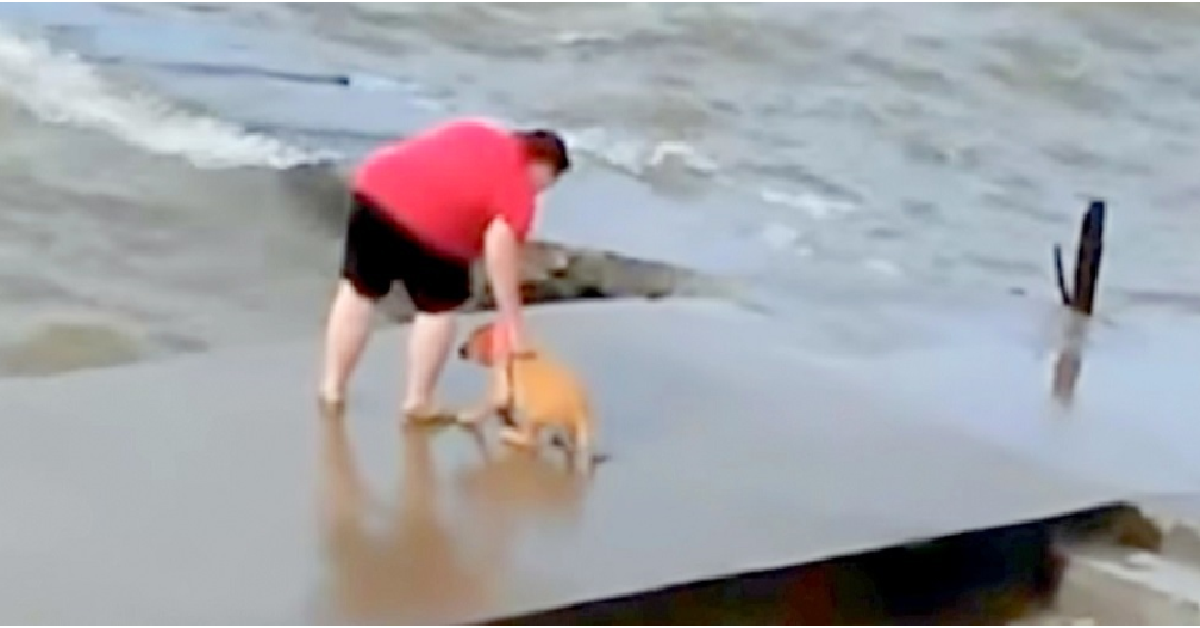 Ripresa mentre getta il cane nel lago