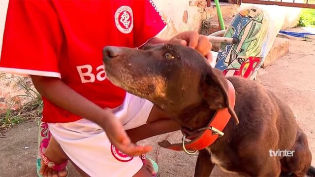 l'amore-profondo-di-Isabel-per-gli-animali 1