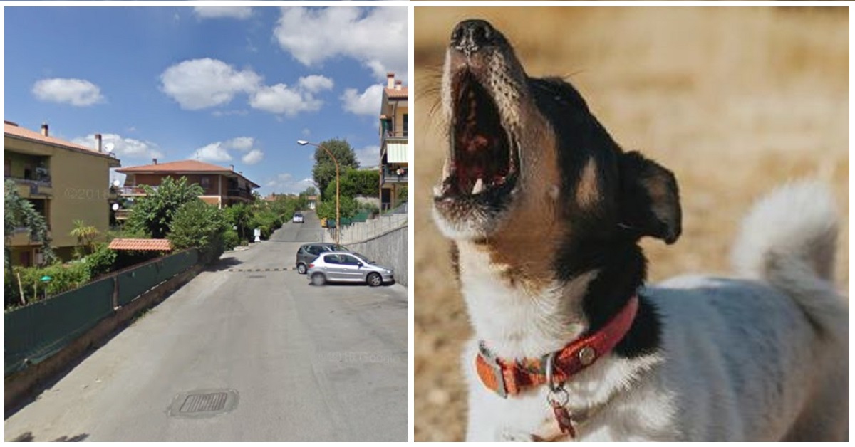 Lanuvio, il cane abbaia incessantemente per salvare il suo proprietario