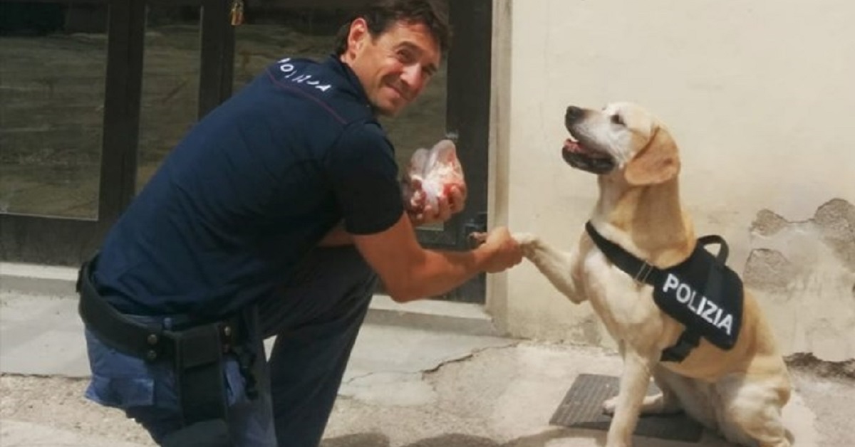 Addio Mexy, la femmina di labrador della Polizia di Stato