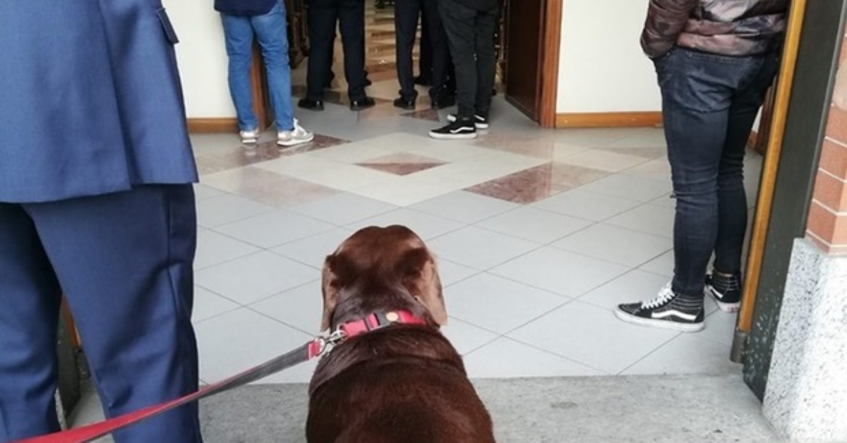 Torino: prete non fa entrare il cane in chiesa, per salutare il suo padrone